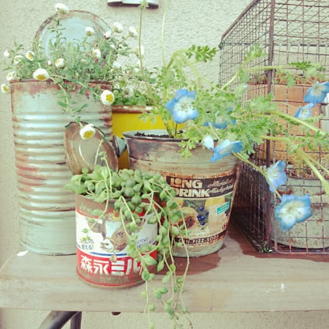 gurikoさんの実例写真