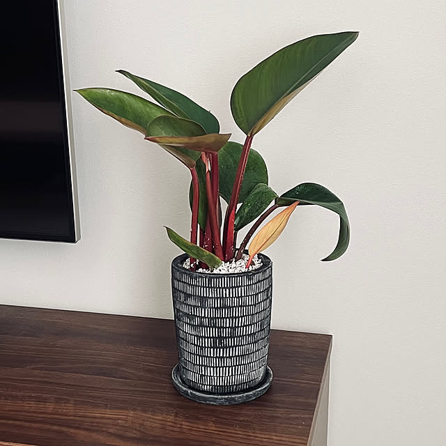 Hidetakaさんの部屋