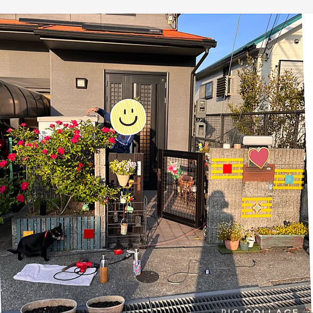 jijiさんの実例写真