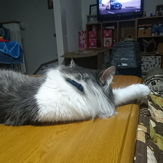 shinobuさんの実例写真