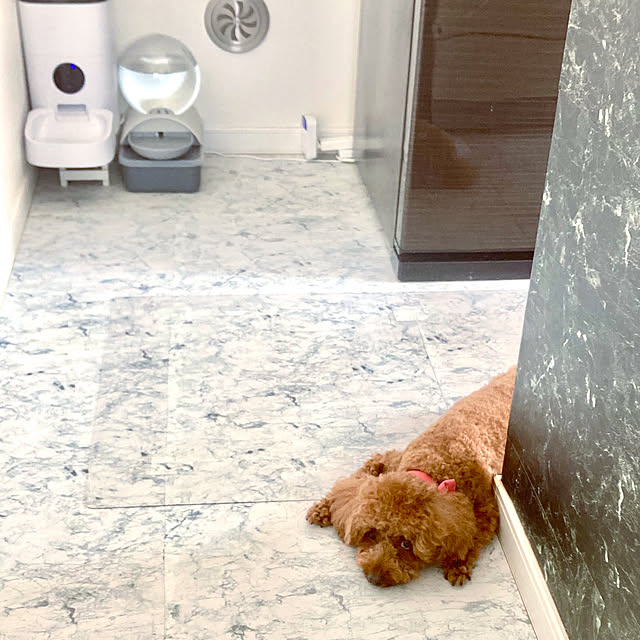 MOMOMAMAさんの部屋