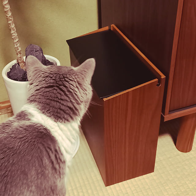 rhuさんの実例写真
