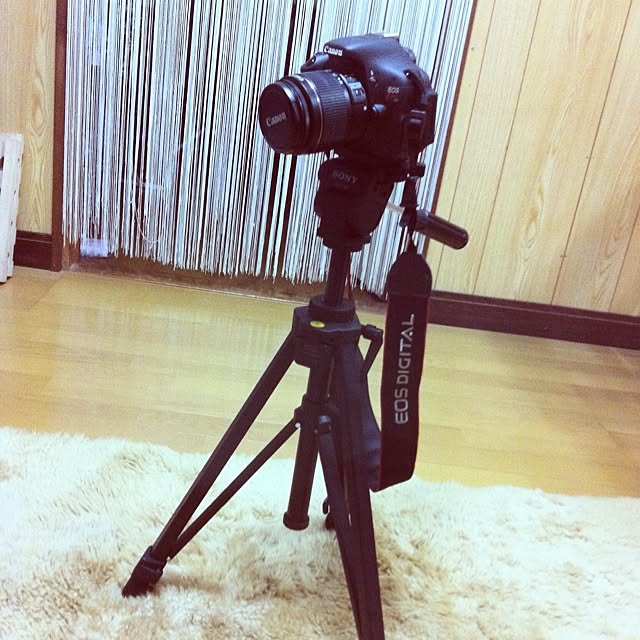anz.xxさんの実例写真