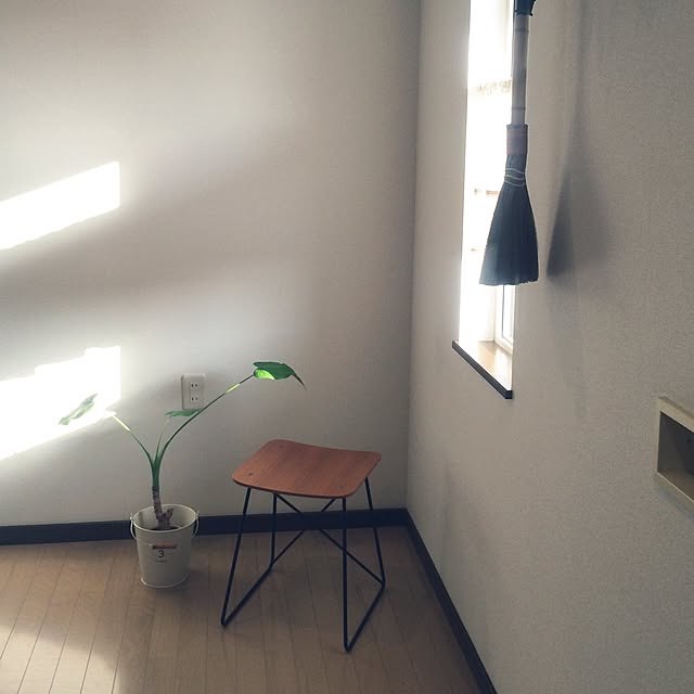 shimajirouさんの実例写真