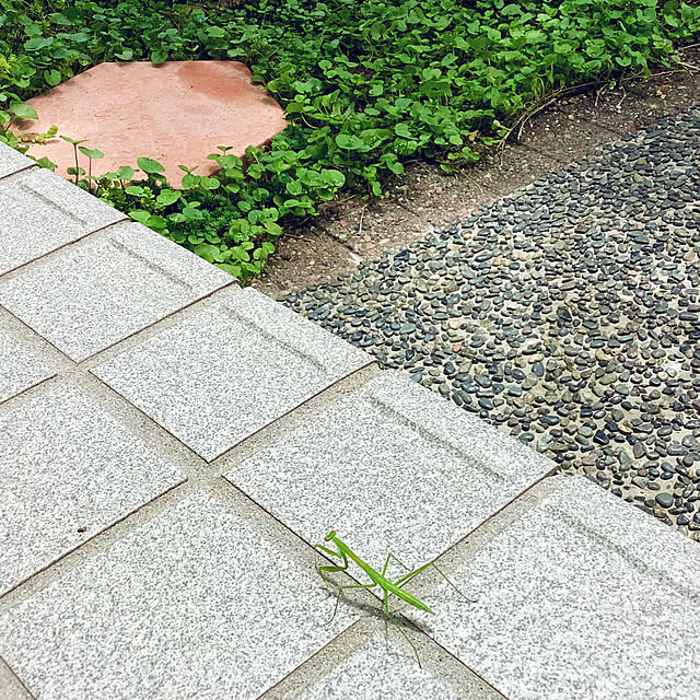 haruminさんの実例写真