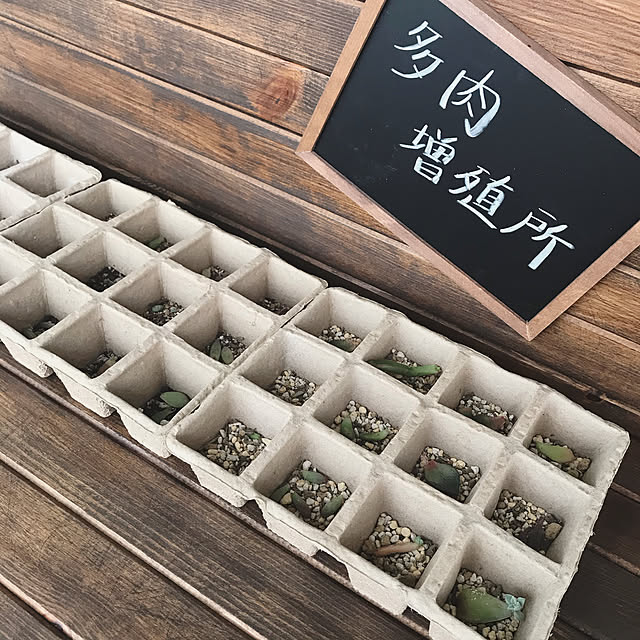ai-nさんの実例写真