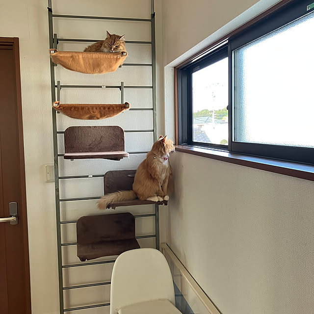 satoraさんの実例写真