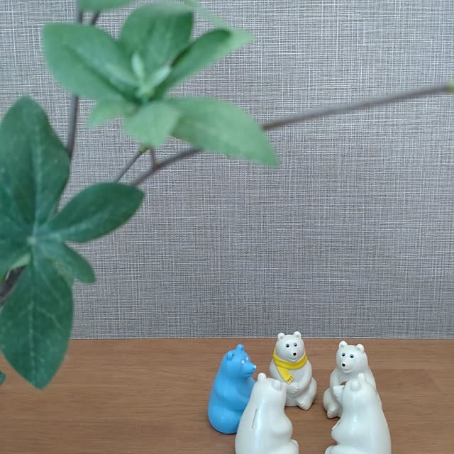 tan5さんの部屋