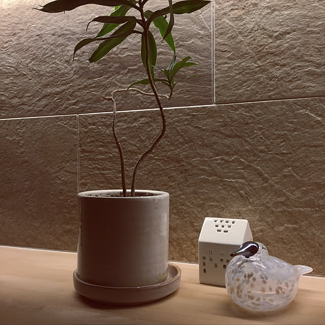 Yukikoさんの実例写真