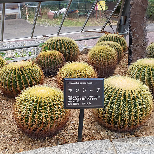 YUKOさんの実例写真