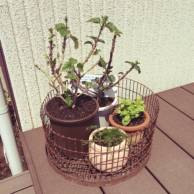 Mayuさんの実例写真