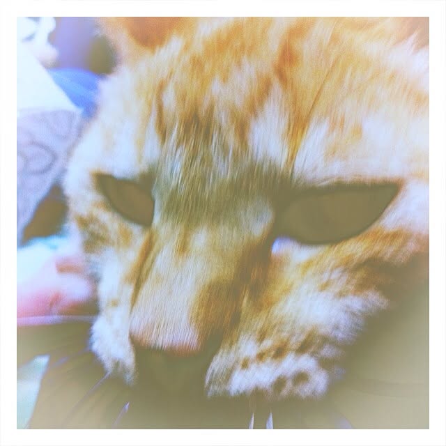 sachiさんの実例写真
