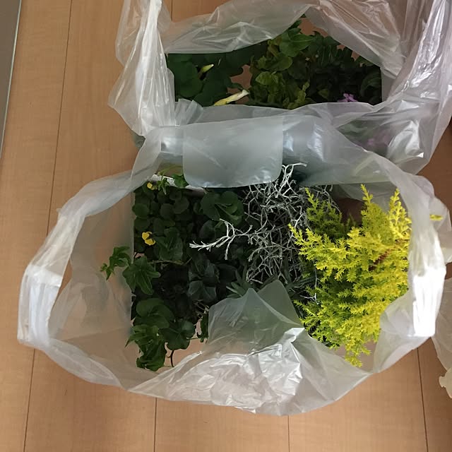 emiさんの実例写真