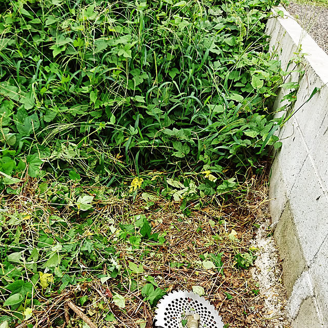 mercuryさんの実例写真