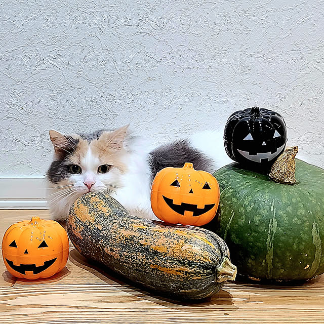 akiko6193さんの実例写真