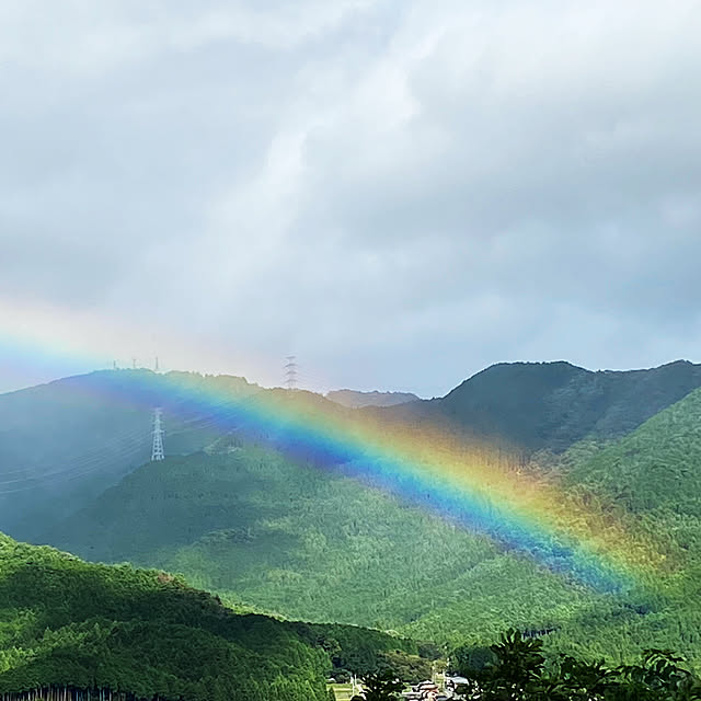 実例写真