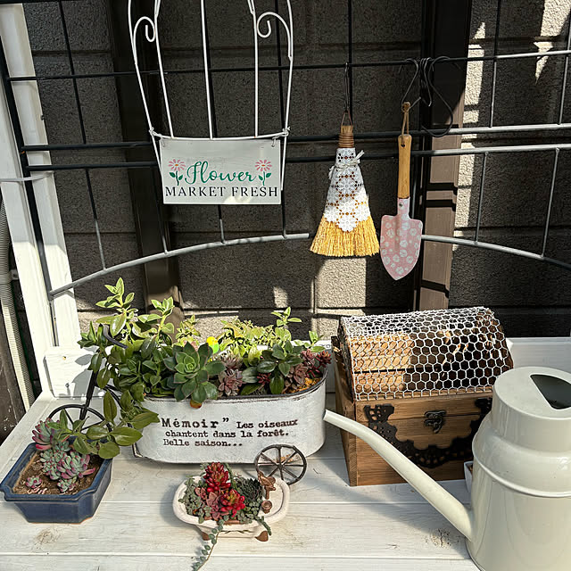 momocchiさんの部屋