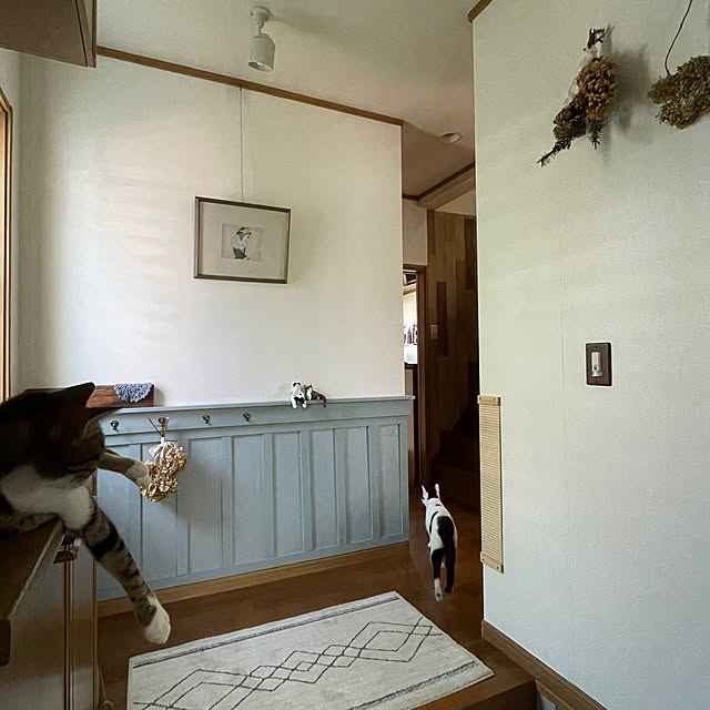 nobikoさんの部屋