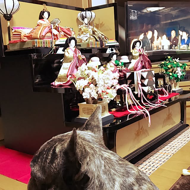 smileAKKさんの実例写真
