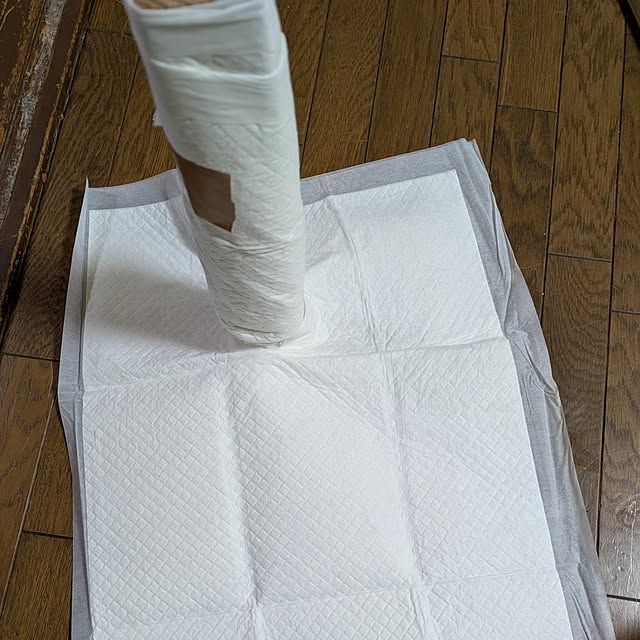 asaさんの実例写真