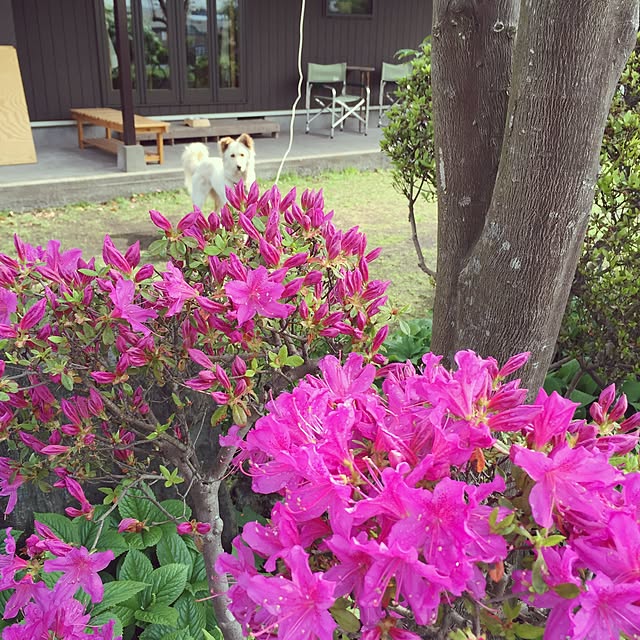 Rumiさんの実例写真