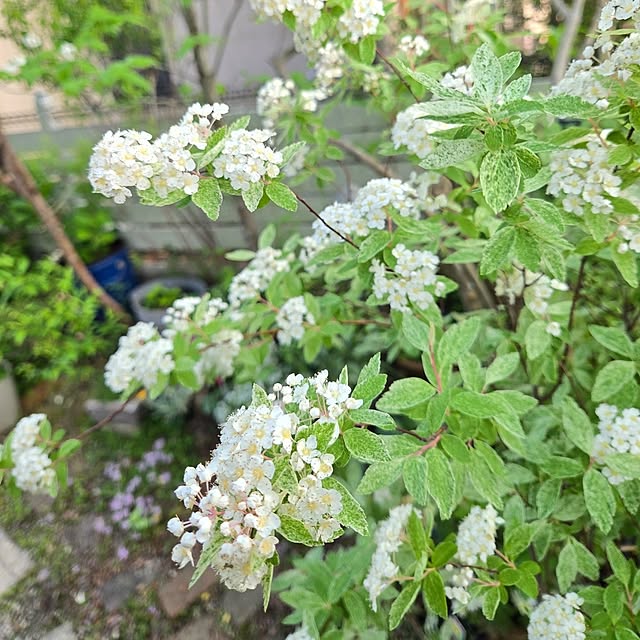 min_nimさんの部屋