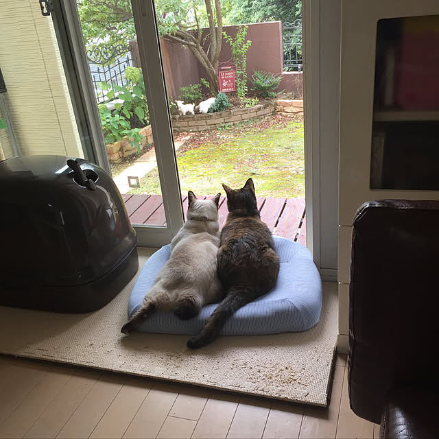 Chiharuさんの実例写真