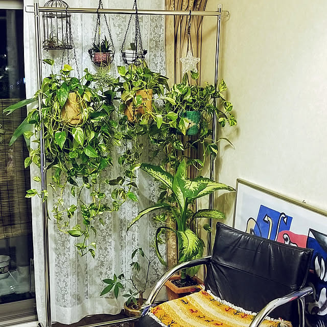 takoさんの実例写真