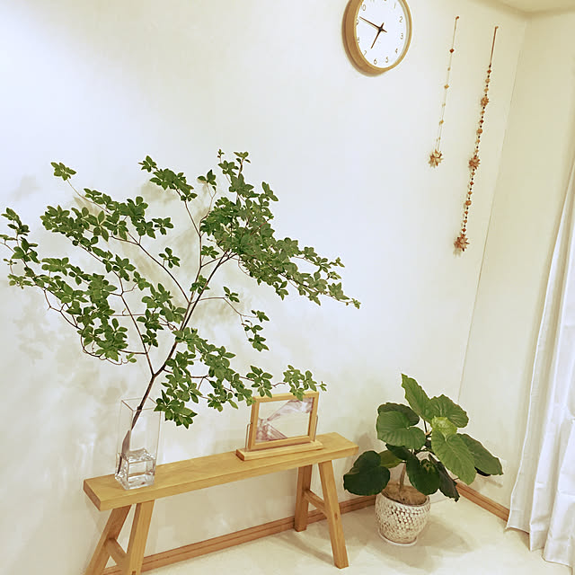 cocoさんの実例写真