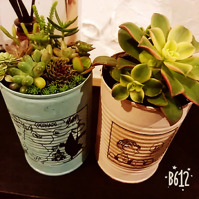 リビング/多肉植物/ハンドメイド/DIYのインテリア実例 - 2019-02-18 17:40:38