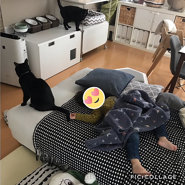 yuki0511さんの実例写真