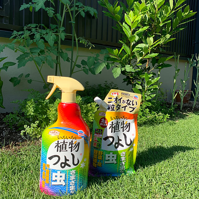 SHOKOさんの実例写真