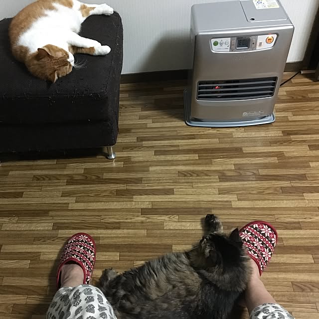 knekghrkktさんの実例写真