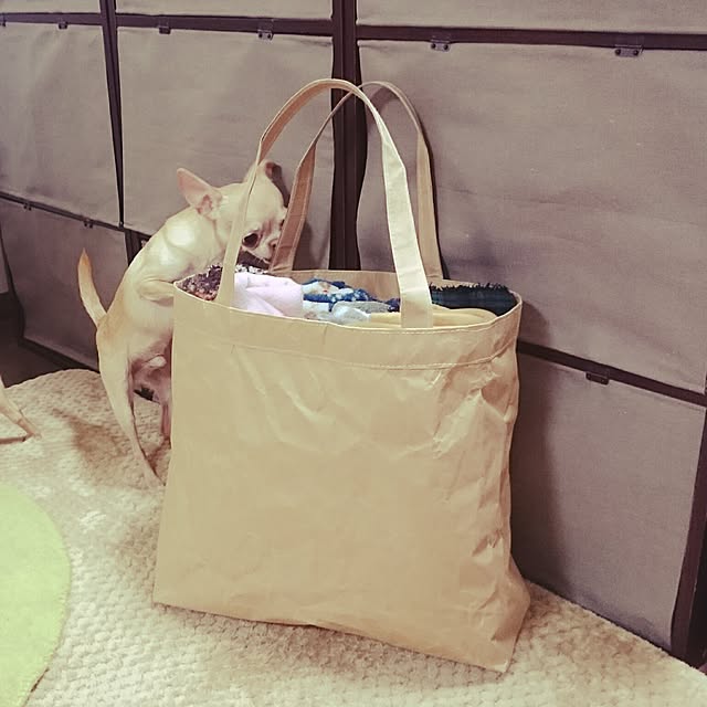 shirogomaさんの実例写真