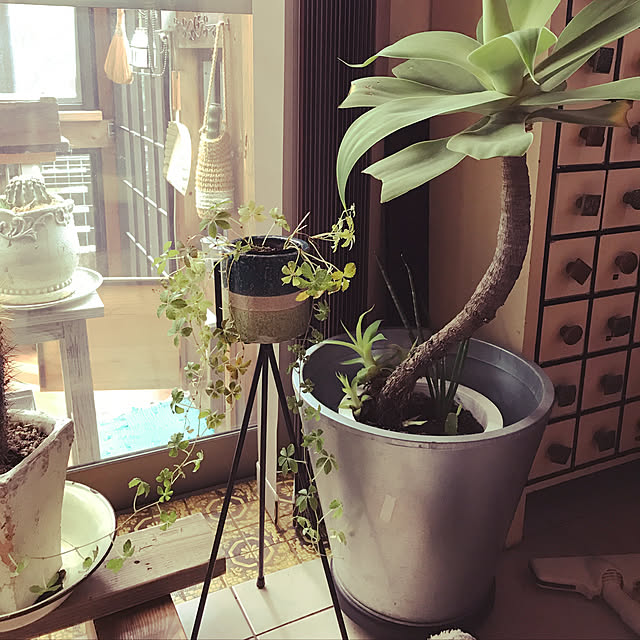 Risaさんの実例写真