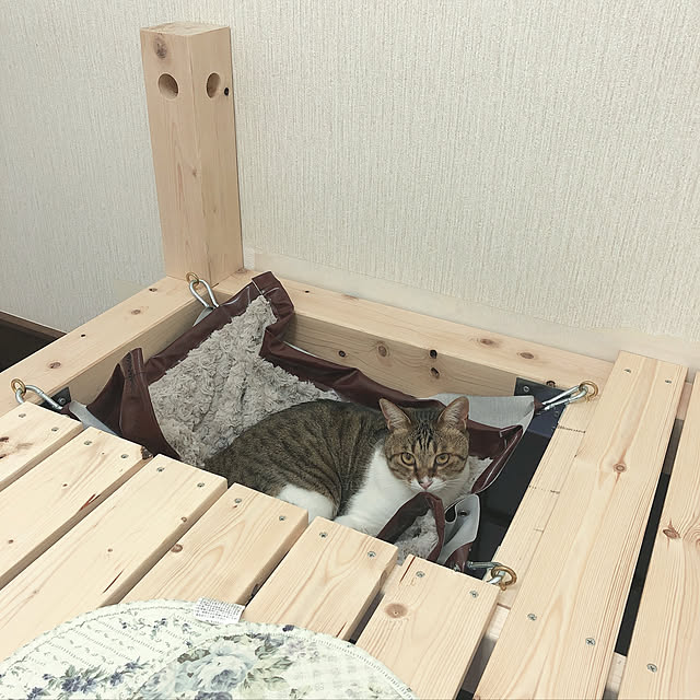 yurari.bonnさんの実例写真