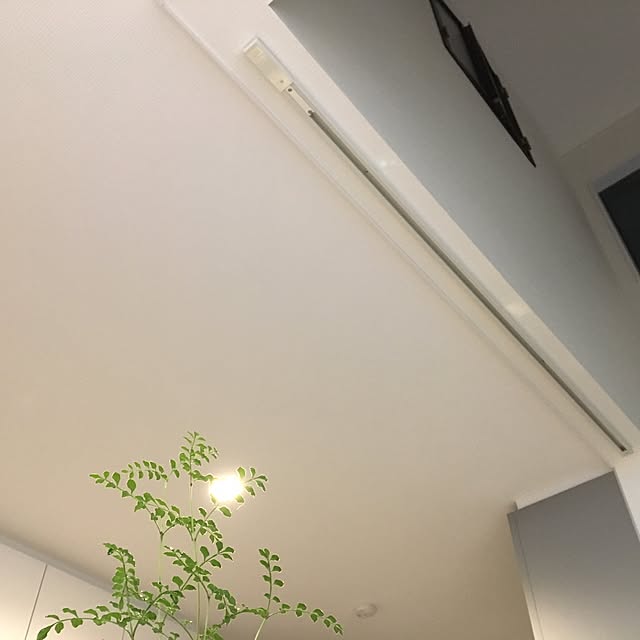 lin_yaさんの実例写真