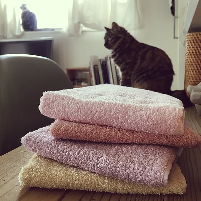 mikomaruさんの実例写真