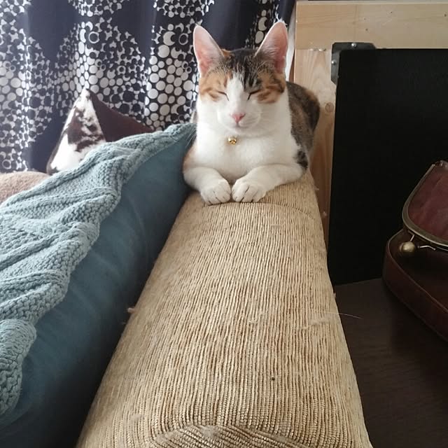 l..tomesanさんの実例写真