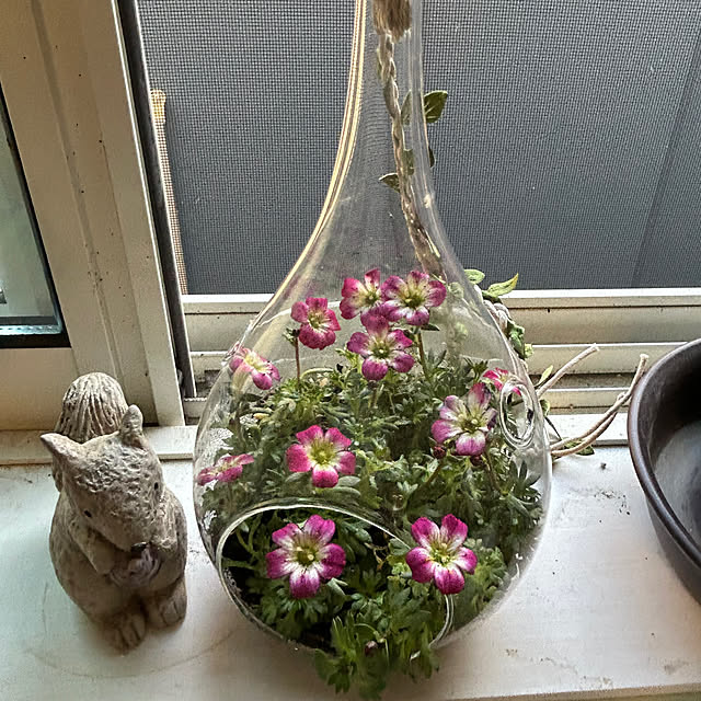 sukkorobiさんの実例写真