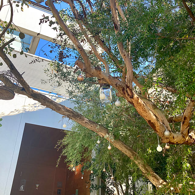 green.green.greenさんの部屋