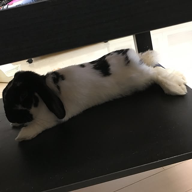 mana1021さんの実例写真