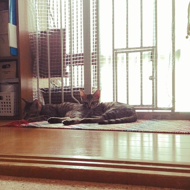 su-chipiさんの実例写真