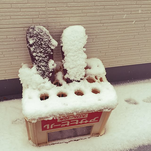 satoさんの実例写真