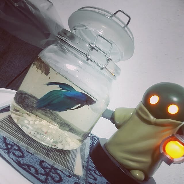 sheeeepwingさんの実例写真