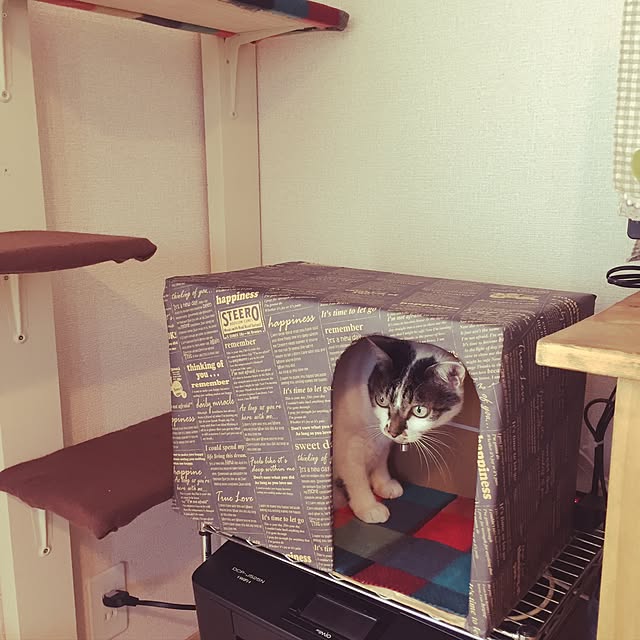 amandaさんの実例写真