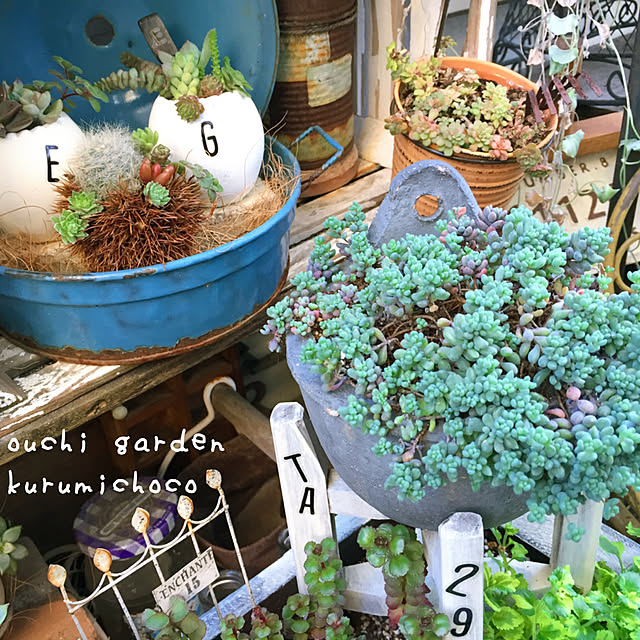 kurumichocoさんの実例写真