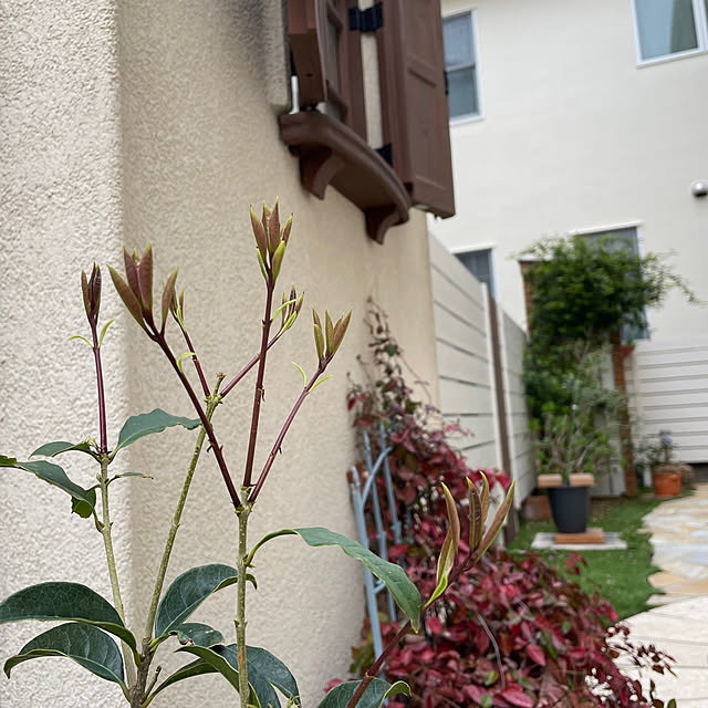 kuraさんの部屋