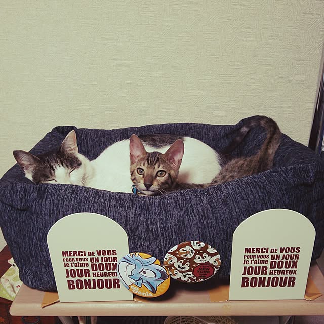 tenさんの実例写真