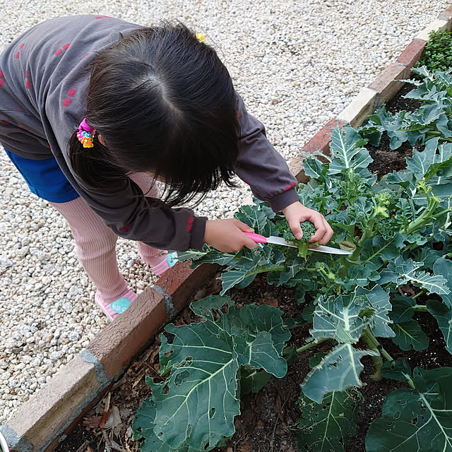 kiyoさんの実例写真